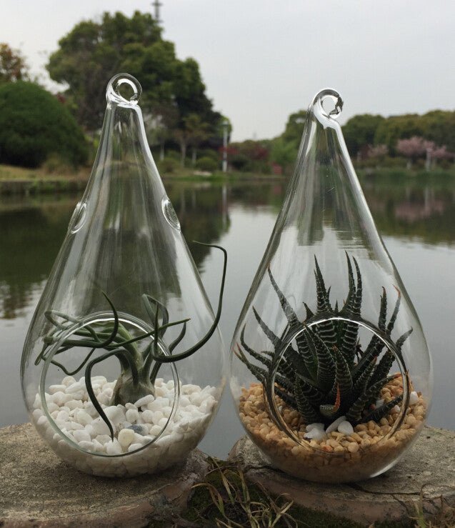 4 Pack of Hanging Clear Glass Tealight Candle Holder Tear Drop Pear Hour Glass Shape - 20cm High Terrarium Plant Mini Garden Holder Decoration Craft Gift - Factory Direct Shop