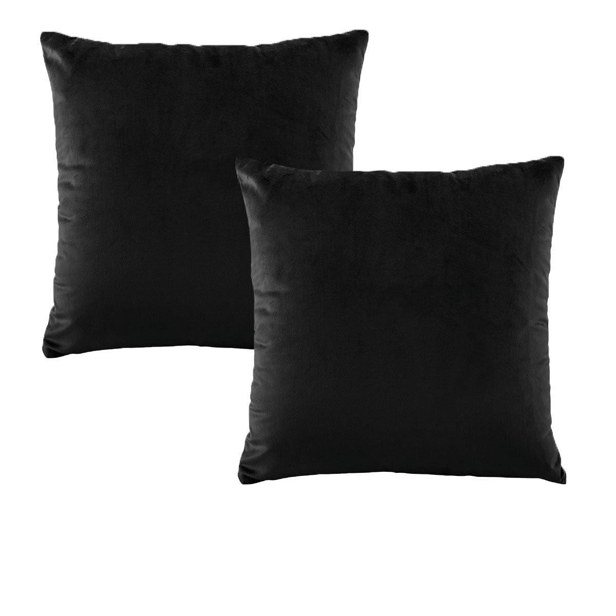 Bianca Pair of Vivid Coordinates European Pillowcases Black 65 x 65 cm