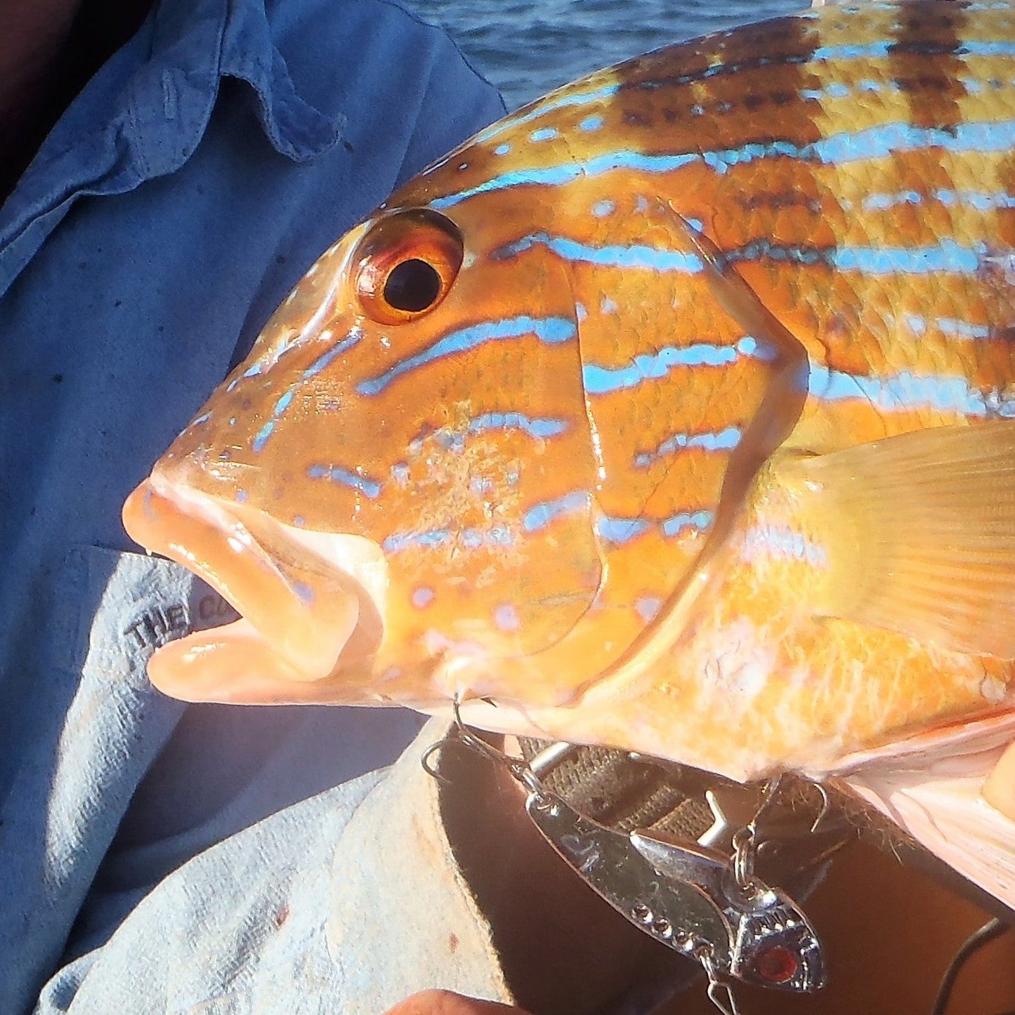 Finesse Feather Blade, Chartreuse, 55mm, 2 Pack