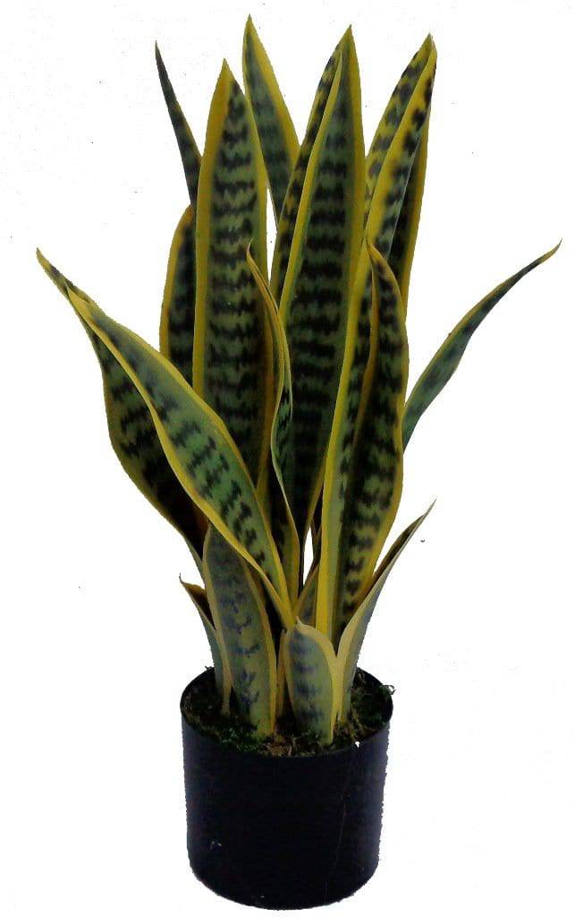 UV Artificial (Faux) Mother In Law Tongue / Yellow Tongue 58cm 7 Stems