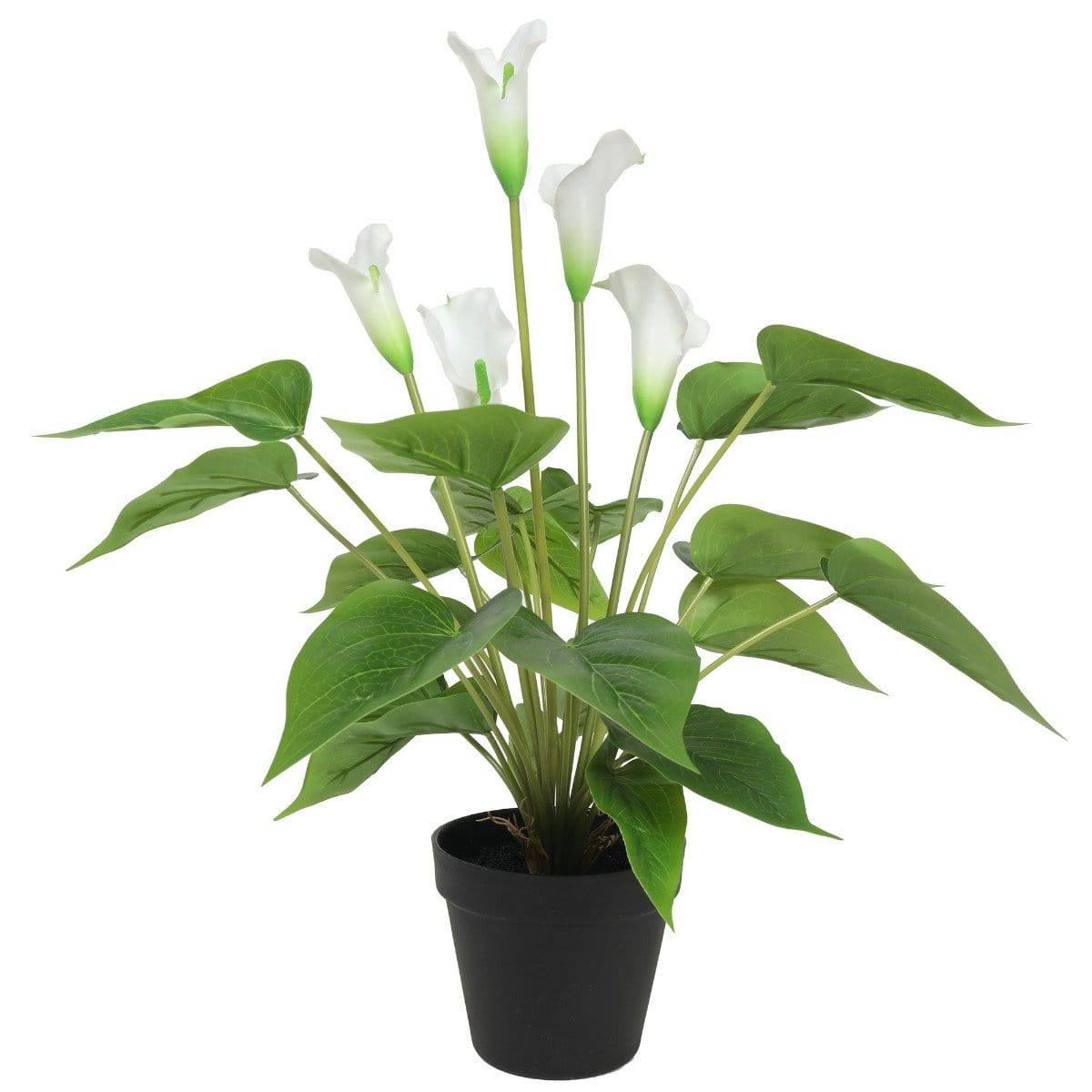 Artificial Plant Flowering White Peace Lily / Calla Lily Plant 50cm