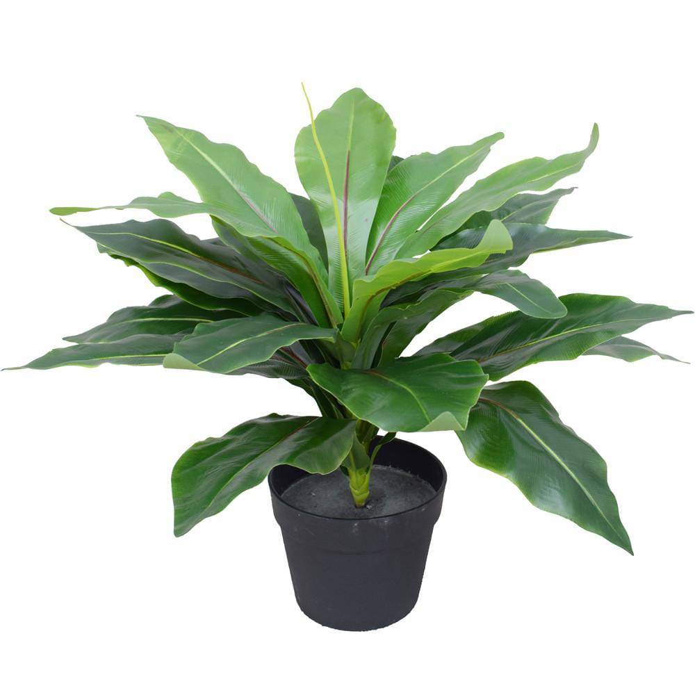 Artificial Plant Potted Wide Leaf Birds Nest Fern 50cm