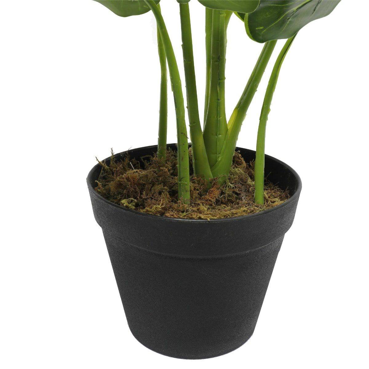 Artificial Plant Potted Taro Plant / Elephant Ear 55cm