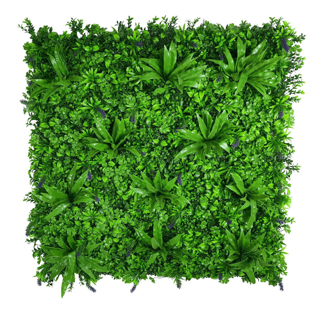 Lavandula Vertical Garden UV Stabilised