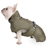 Hooded Pet Winter Jacket Thick and Comfortable Padded Dog Clothes_4