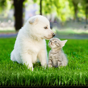 Prime Turf Artificial Grass 2mx10m 10mm Synthetic Fake Lawn Turf Plant Plastic Olive