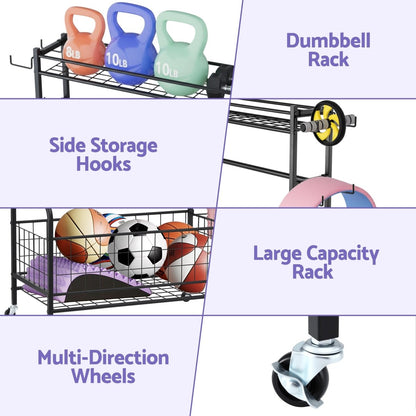 Everfit Gym Equipment Storage Rack Organiser - Factory Direct Shop