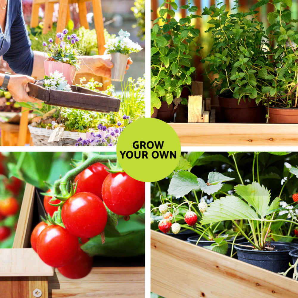 Green Fingers Raised Garden Bed 2x Elevated 120x60x80cm Wooden Planter Box Container