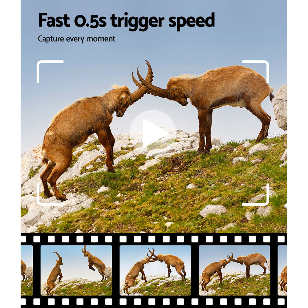 Trail Camera UL-tech 4K 16MP Wildlife Hunting Security Cam Night Vision

Capture the beauty of nature in razor-sharp focus with a UL-tech Trail Camera. With clear 16MP picture quality and 4K full HD video, you can capture the full spectrum of wild animals, plants and natural phenomena in any weather conditions,