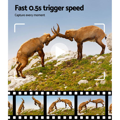 Trail Camera UL-tech 4K 16MP Wildlife Hunting Security Cam Night Vision

Capture the beauty of nature in razor-sharp focus with a UL-tech Trail Camera. With clear 16MP picture quality and 4K full HD video, you can capture the full spectrum of wild animals, plants and natural phenomena in any weather conditions,