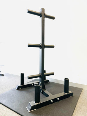Curve Fitness Multipurpose Weight Storage Tree
