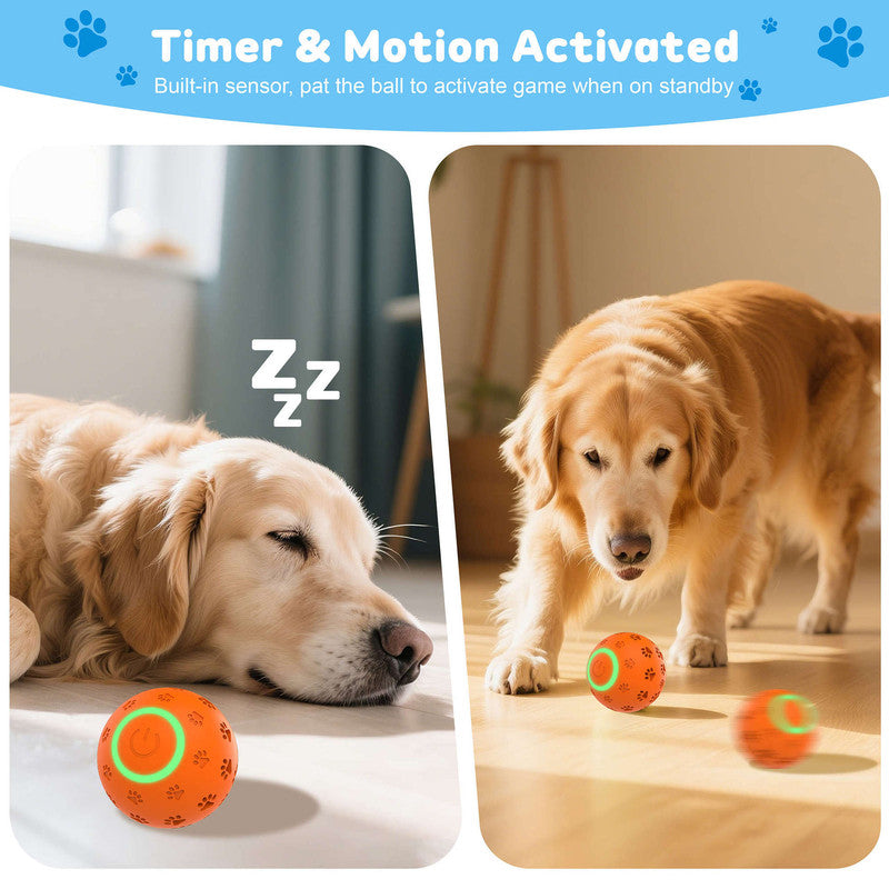 pet products Electric bouncing ball for grinding teeth and teasing pets - Factory Direct Shop