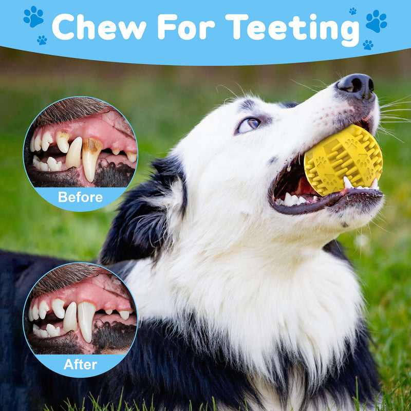 pet products Electric bouncing ball for grinding teeth and teasing pets - Factory Direct Shop