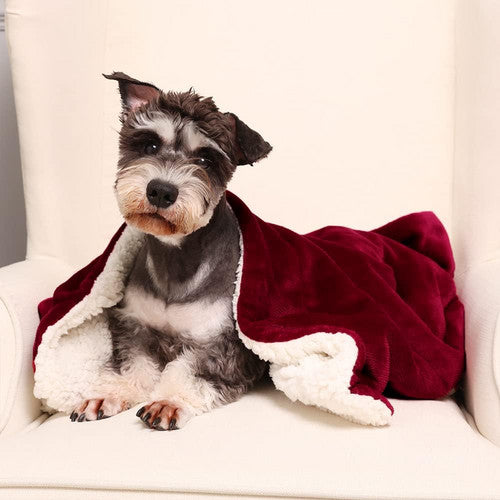 Double - side Flannel Heated Electric Throw Blanket Fast Heating Warm Washable red - Factory Direct Shop