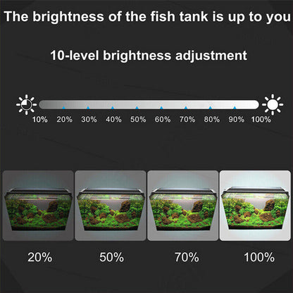Aquarium cleaner 20W 1000L/H &15W/ 66LED RGBW aluminum shell bracket light 40CM/28 - button control - Factory Direct Shop