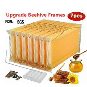Neweast 7Pcs Flow Bee Comb Hive Frames For Wooden Beekeeping Beehive House