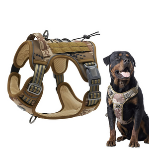 Tactical dog harness with a Rottweiler wearing it on a white background