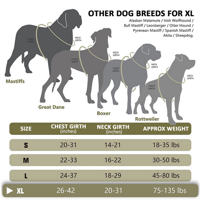 Chart of dog breeds for extra-large size with measurements and weight ranges.