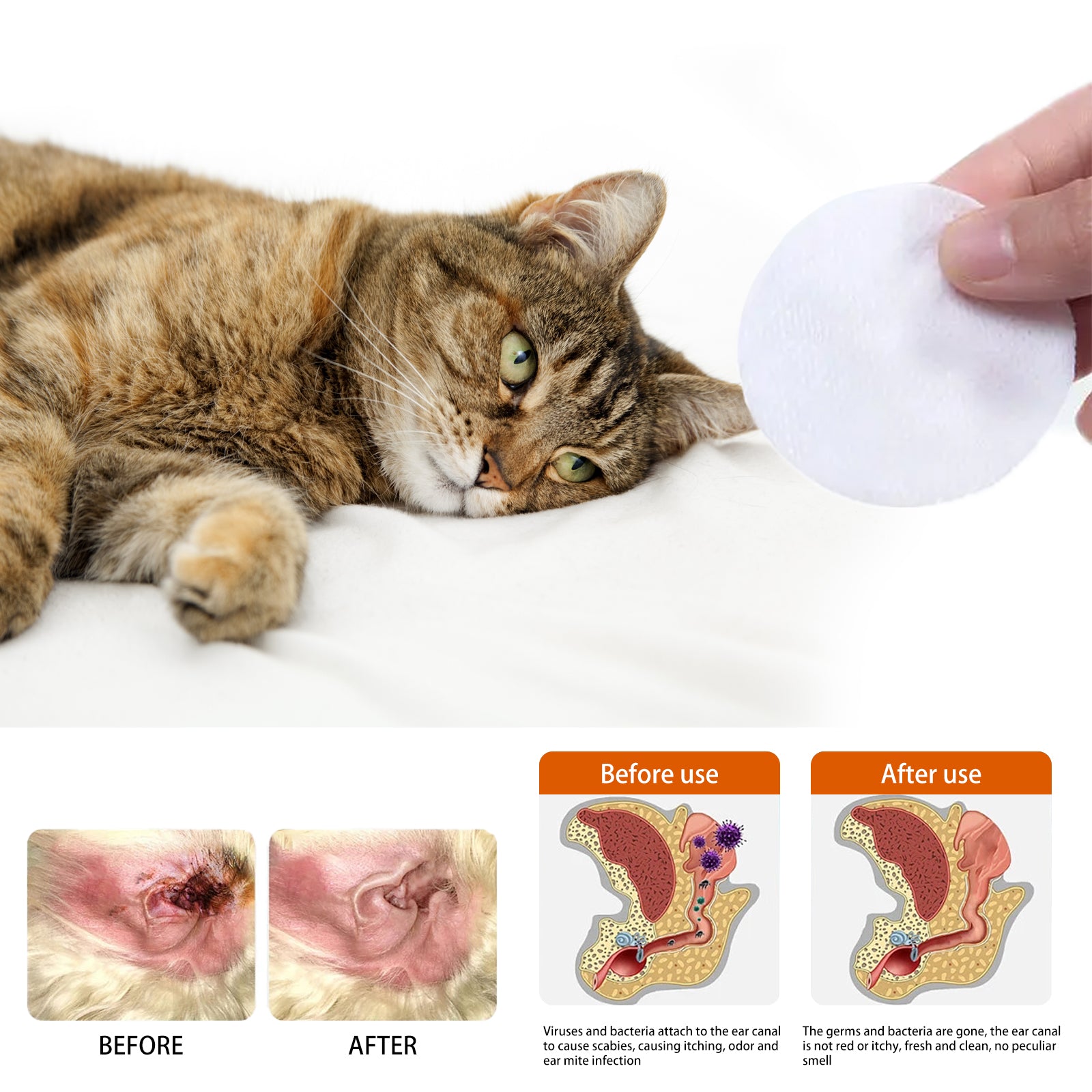 Yegbong Pet Ear Wipes, Pet Ear Cleaning Deodorizing Removing Mite And Earwax Cleaning Wipes - Factory Direct Shop