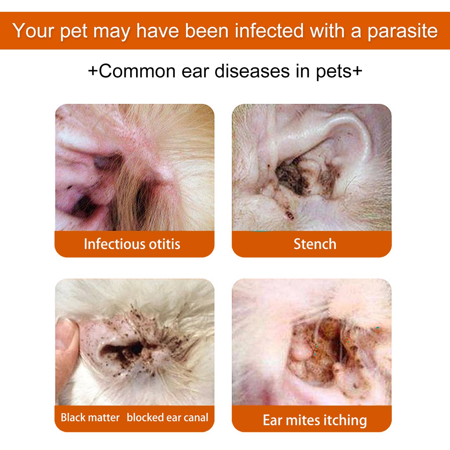 Yegbong Pet Ear Wipes, Pet Ear Cleaning Deodorizing Removing Mite And Earwax Cleaning Wipes - Factory Direct Shop