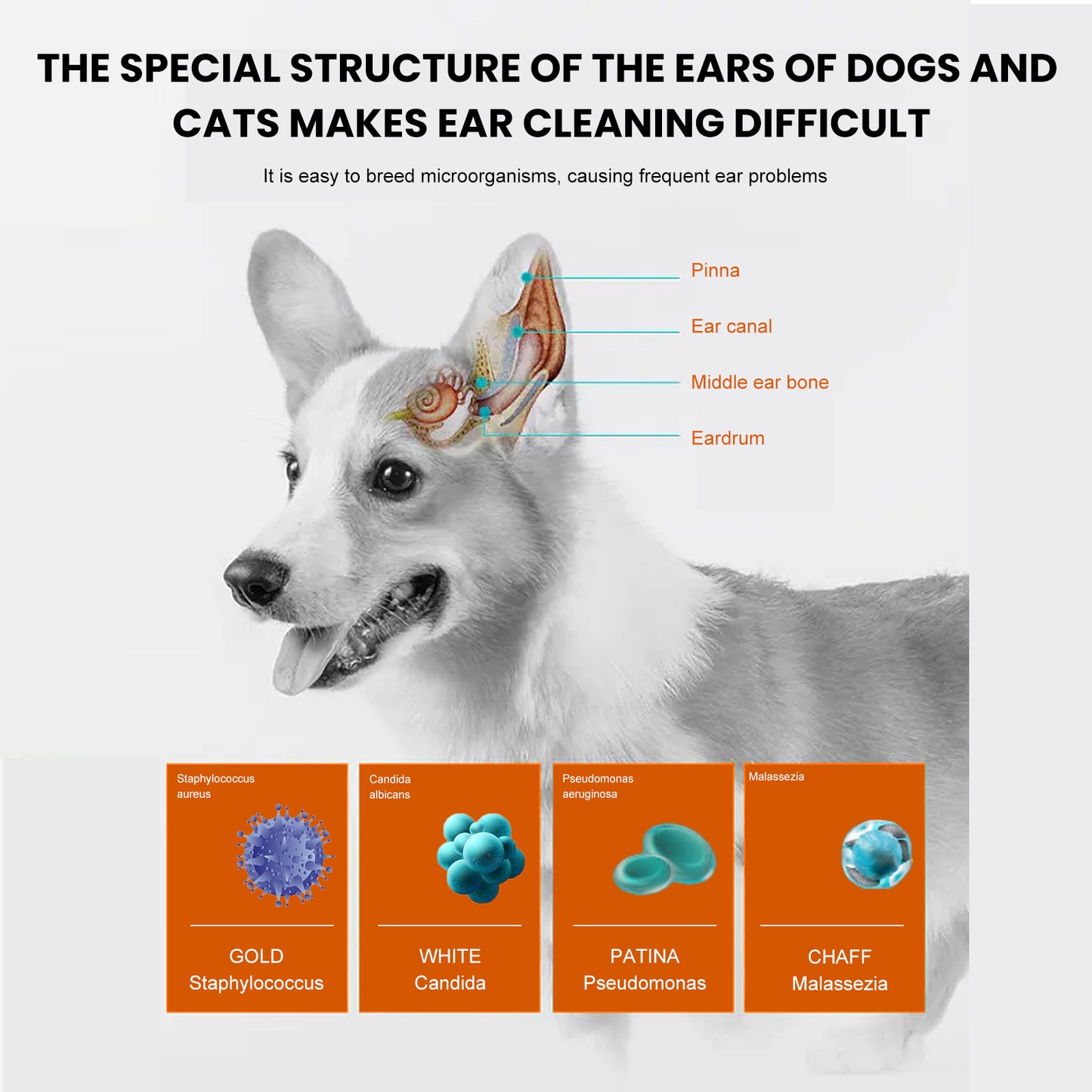 Yegbong Pet Ear Wipes, Pet Ear Cleaning Deodorizing Removing Mite And Earwax Cleaning Wipes - Factory Direct Shop