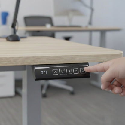 FORTIA Sit To Stand Standing Desk, 120x60cm, 72 - 118cm Electric Height Adjustable, Light Oak Style Desktop Silver Frame - Factory Direct Shop