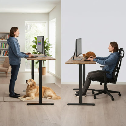 FORTIA Sit to Stand Standing Desk, 160x60cm, 72 - 118cm Electric Height Adjustable, Walnut Style Desktop/Black Frame - Factory Direct Shop