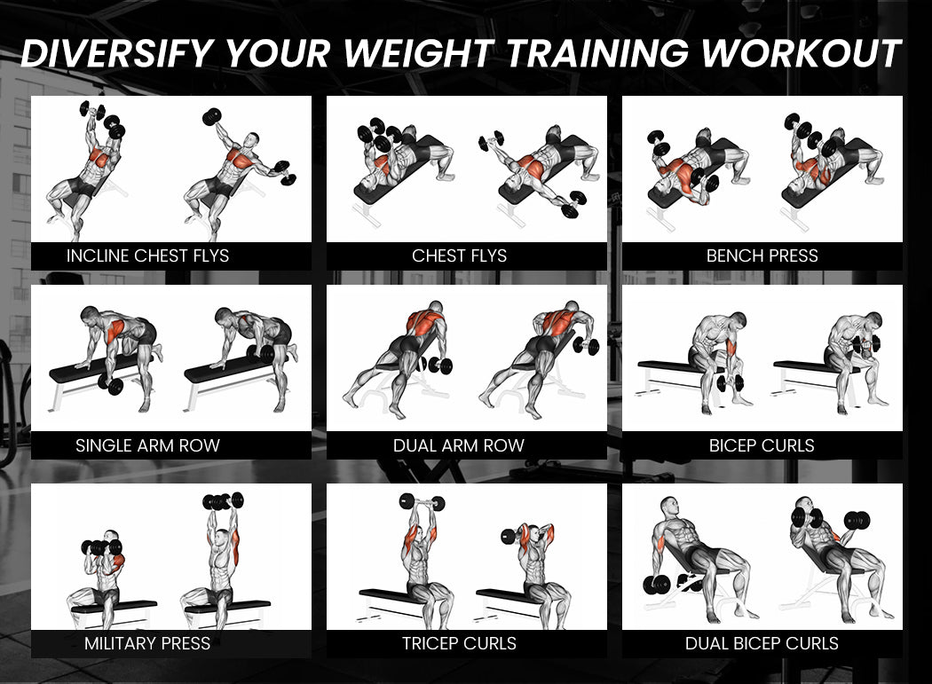 PROFLEX Weight Bench Adjustable-150kg