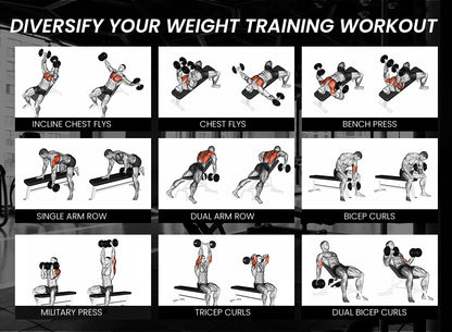 PROFLEX Weight Bench Adjustable-150kg