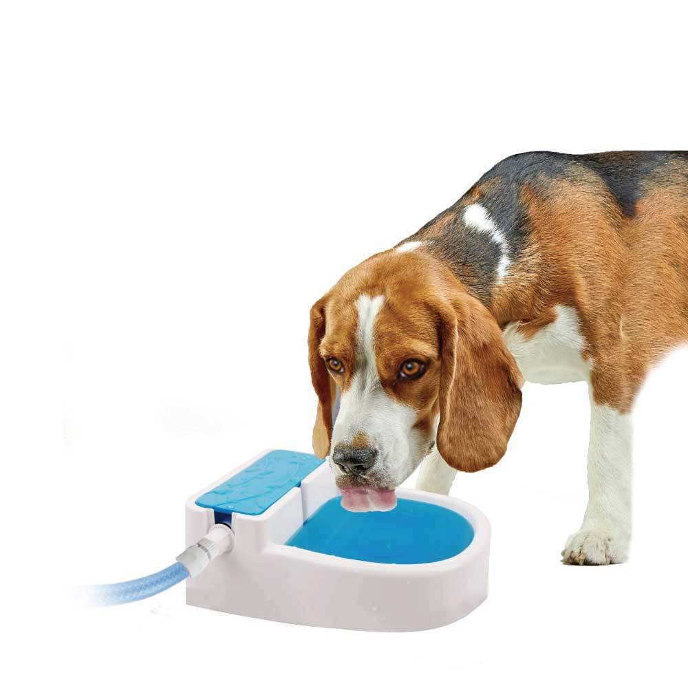Auto Filling Dog Drinking Water Fountain - Outdoor Automatic Pet Drinking Bowl - Factory Direct Shop