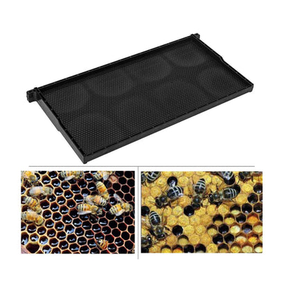 Black beekeeping frame with insets of bees and honeycomb on a white background