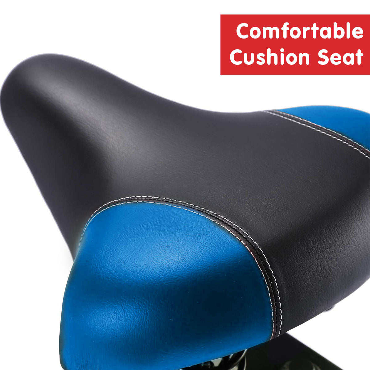 PowerTrain Spin Bike RX-600- Blue