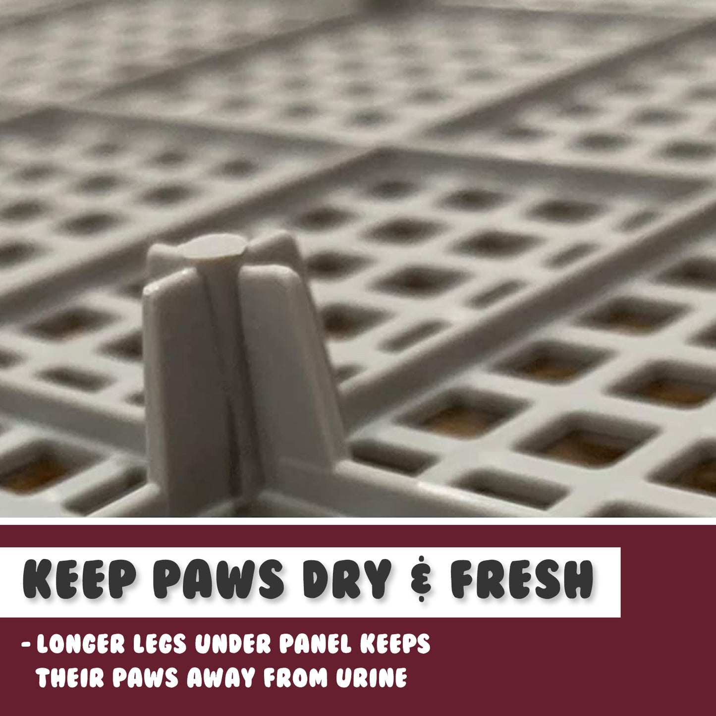 Dog Pet Potty Tray Training Toilet Raised Walls T1 WINE - Factory Direct Shop