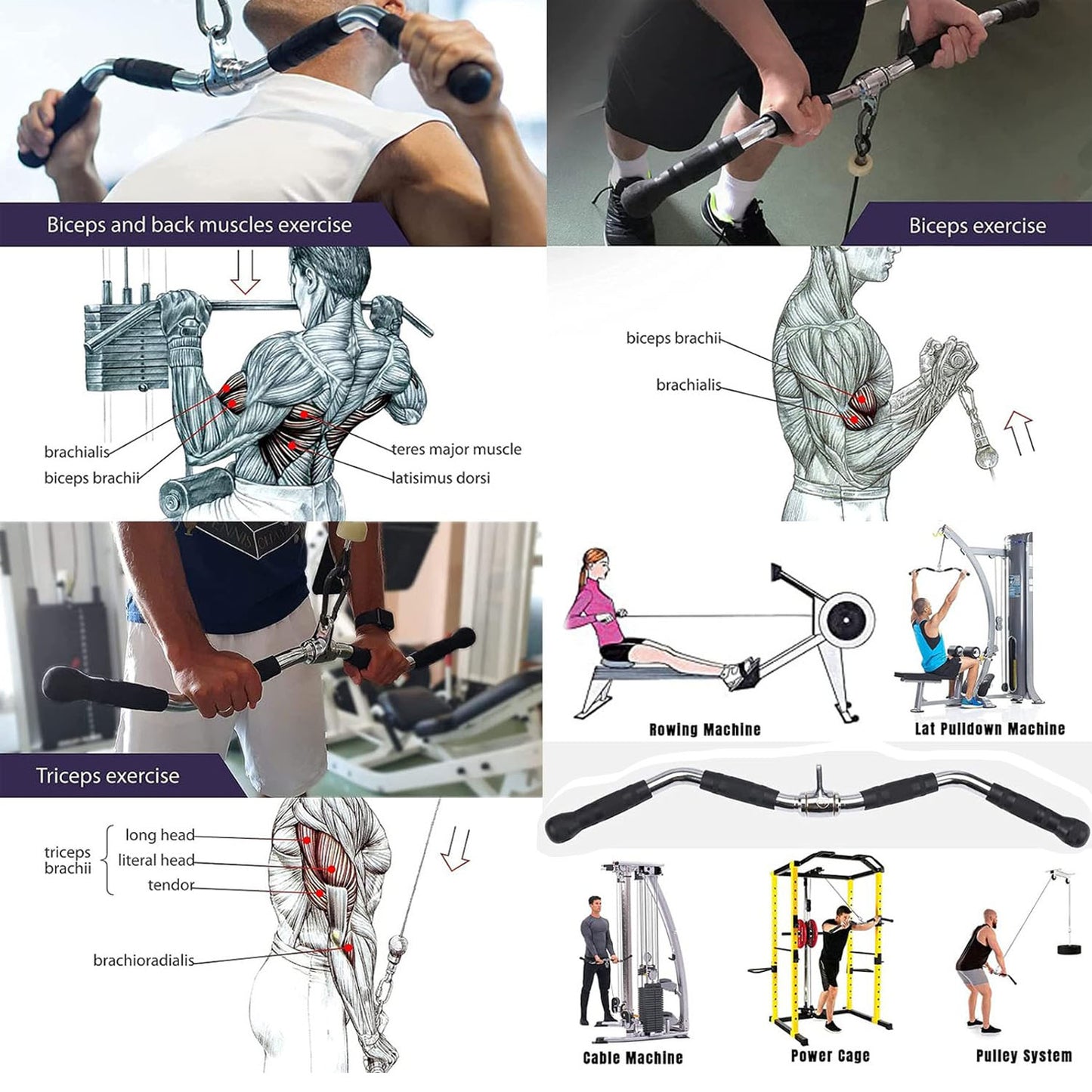 A collage of images showing Lat Pulldown Bar biceps and triceps exercises with gym equipment and anatomical illustrations.