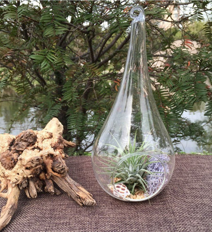 10 Pack of Hanging Clear Glass Tealight Candle Holder Tear Drop Pear Hour Glass Shape - 20cm High Terrarium Plant Mini Garden Holder Decoration Craft Gift - Factory Direct Shop