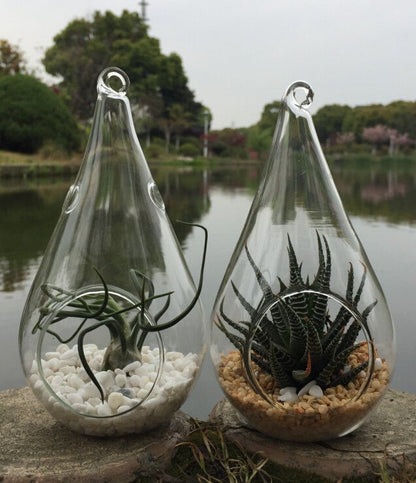 10 Pack of Hanging Clear Glass Tealight Candle Holder Tear Drop Pear Hour Glass Shape - 20cm High Terrarium Plant Mini Garden Holder Decoration Craft Gift - Factory Direct Shop