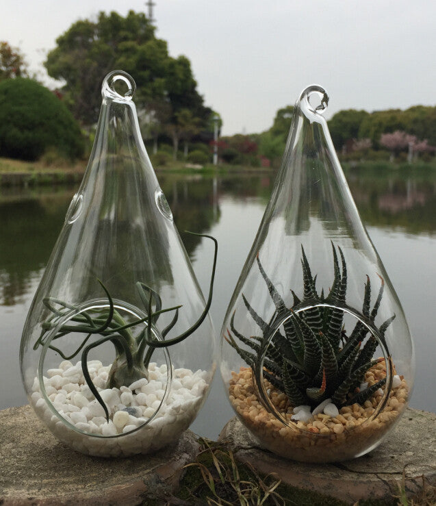 10 Pack of Hanging Clear Glass Tealight Candle Holder Tear Drop Pear Shape - 12cm High - Terrarium Plant Mini Garden Holder Decor - Factory Direct Shop