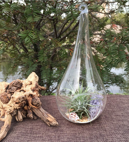 50 Wholesale Pack of Hanging Clear Glass Tealight Candle Holder Tear Drop Pear Shape - 12cm High - Terrarium Plant Mini Garden Holder Decor - Factory Direct Shop