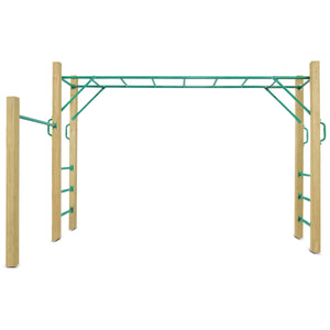 Wooden monkey bars on a white background