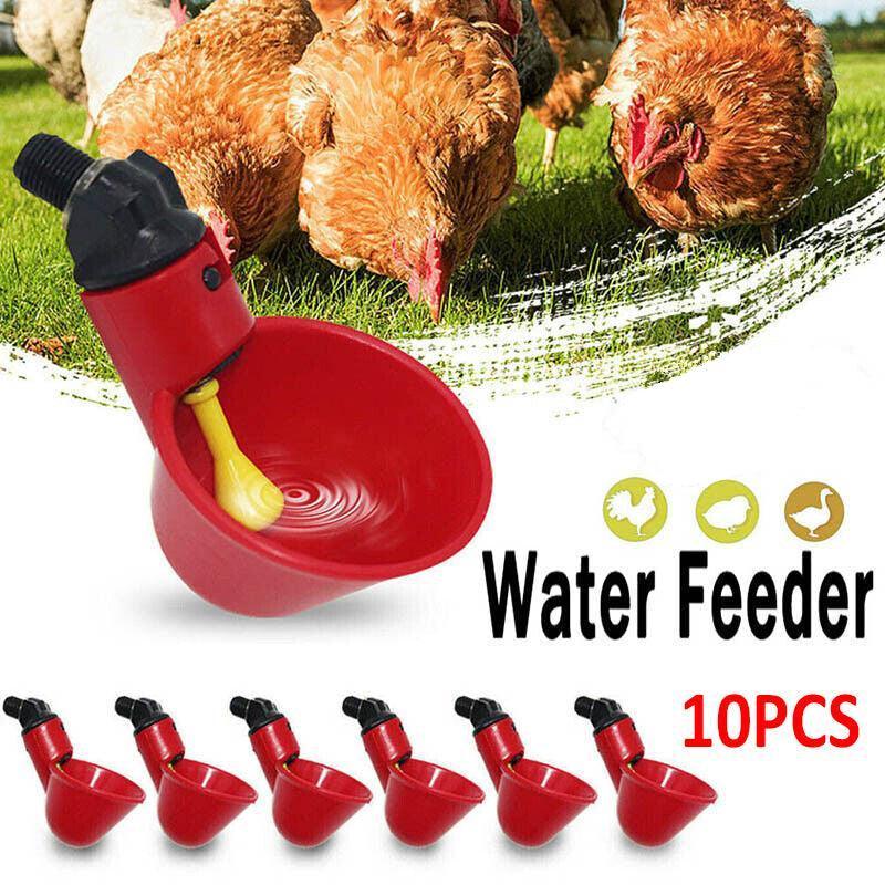 Red water feeder with yellow spout for chickens on a white background