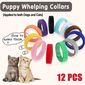 12 Colour Soft ID Collars for Puppies and Kittens Adjustable Pet Identifier Bands - Factory Direct Shop