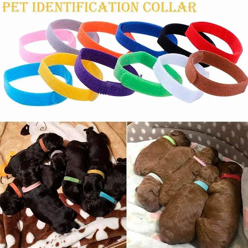 12 Colour Soft ID Collars for Puppies and Kittens Adjustable Pet Identifier Bands - Factory Direct Shop