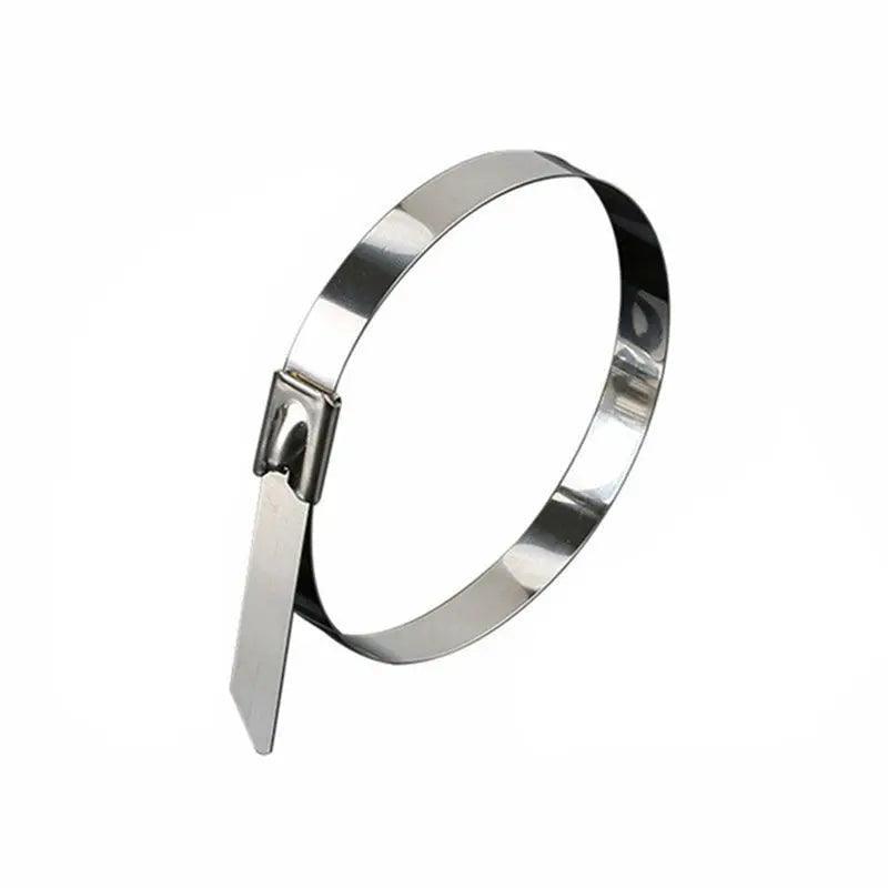 20X Stainless Steel Cable Ties S304 Marine Grade Zip Strap Locking Wrap 100-800Mm - 4.6*200mm