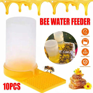 Bee water feeder with honeycomb and bees on a white background