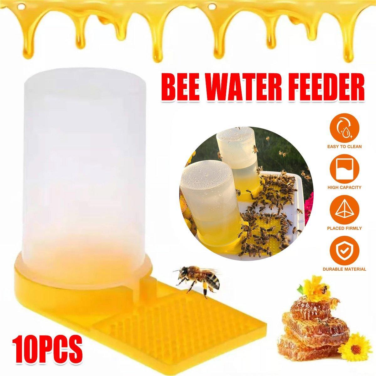 Bee water feeder with honeycomb and bees on a white background