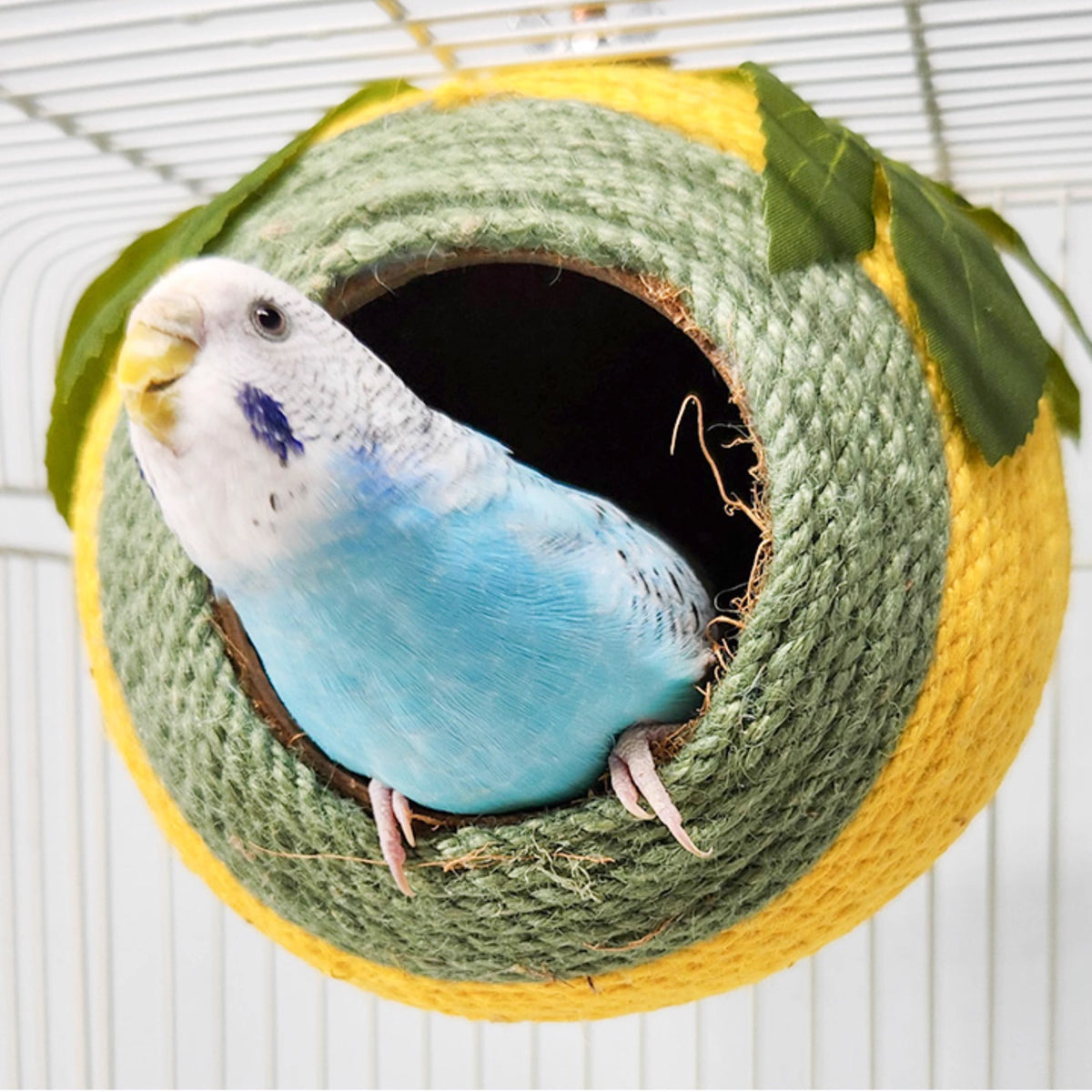 Bird Nest Parrot Nest Coconut Shell Braided Twine Colourful Cage Hanging Bed - Green-Yellow-Screw Model