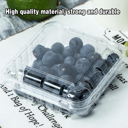 100pcs Transparent Plastic Fruit Box with Tape Cover Storage Packaging for Fruit - 250g