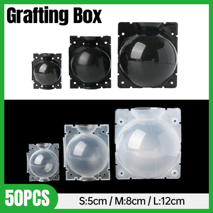 50pcs Plant Rooting Device High Pressure Grafting Box for Seedling Branch Garden - Clear S-50PCS