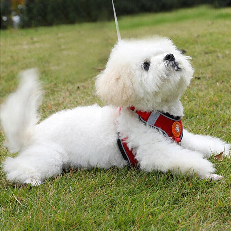 Dog Harness Cat Lead Puppy Leash Vest Mesh Breathe Adjustable Braces Small Pet Pink - XS