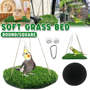 Parrot Turf Hammock Climbing Toy for Hamster Pet Bed Hanging Swing for Small Pet - Roundness - Factory Direct Shop
